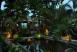 Fish Pond