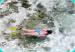 Snorkelling