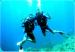 Scuba diving