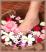 Foot Massage