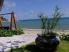 Mercure Samui Fenix Resort - Beach Front