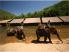 Elephant riding