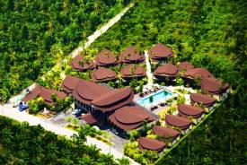 Bird Eye View