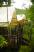 Hintok River Camp @ Hellfire Pass - Canvas Tent