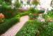 Tropical Garden