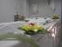 Sochi-Breeze Spa Hotel 