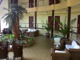 Winter garden for having a cup of coffee with warm talk