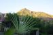 Hotel view