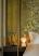 Room Detail