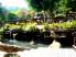Buraresort