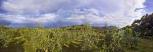 Panoramic view
